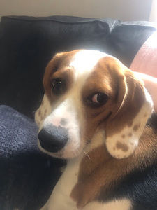 Meet your Posher, Mikki